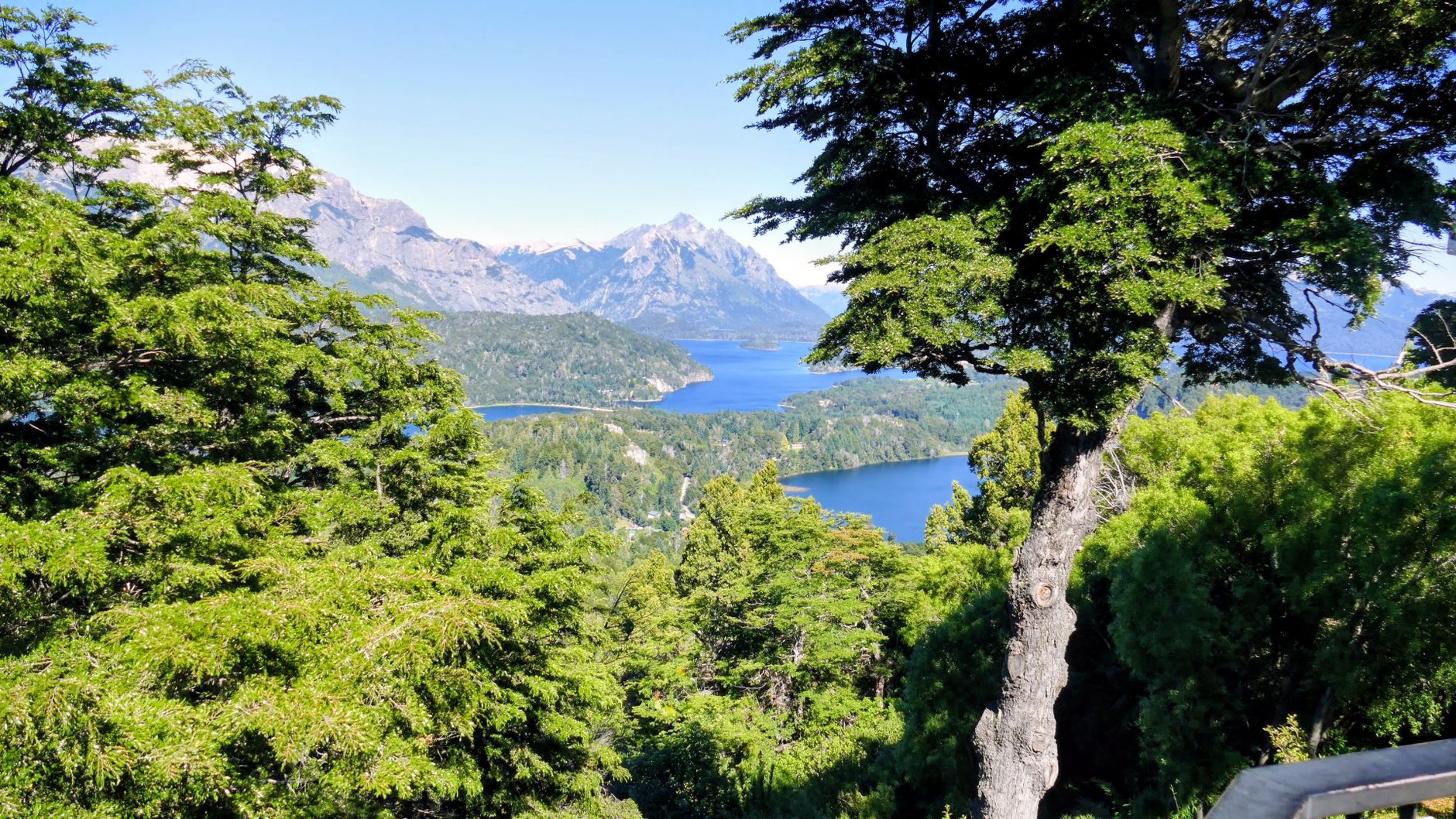 Bosque de arrayanes y lagos patagónicos